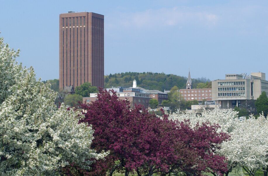 UMass tells most students not to return to Amherst campus